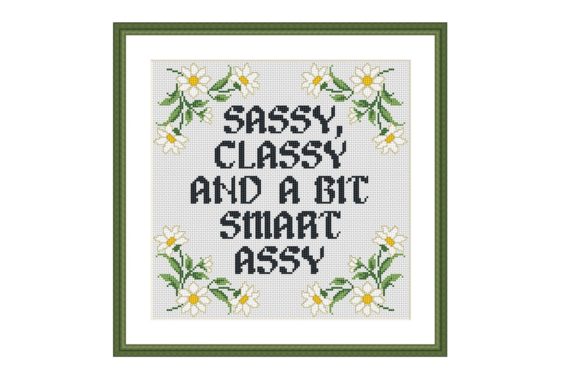Sassy Funny Quote Cross Stitch Pattern Review